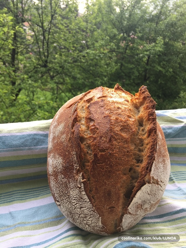 Kruh sa divljim kvascem