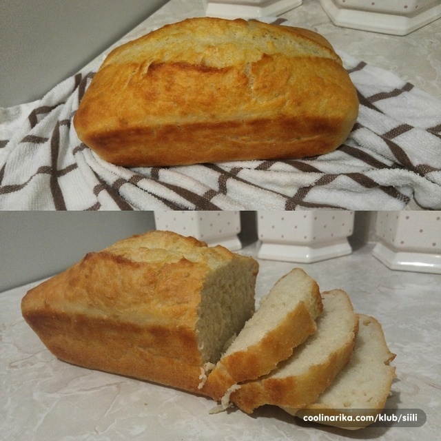 Kvasac od kruha